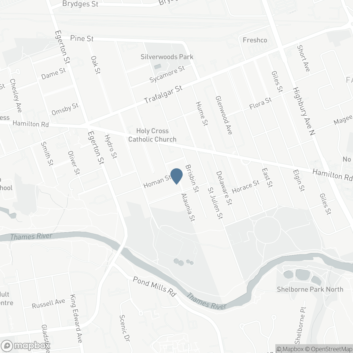 93 HOMAN STREET, London, Ontario N5Z 1A9